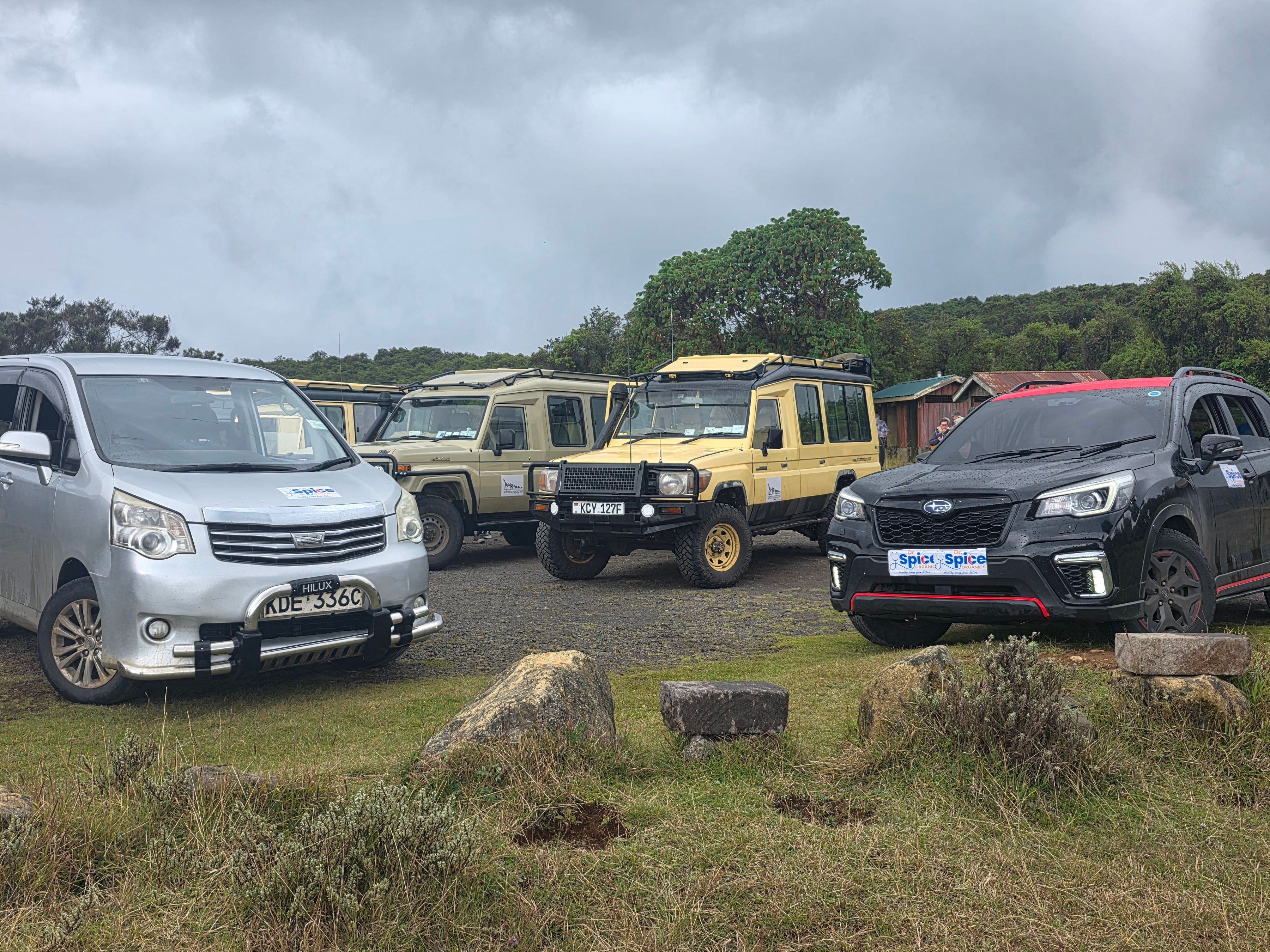 Wellness Experience 23